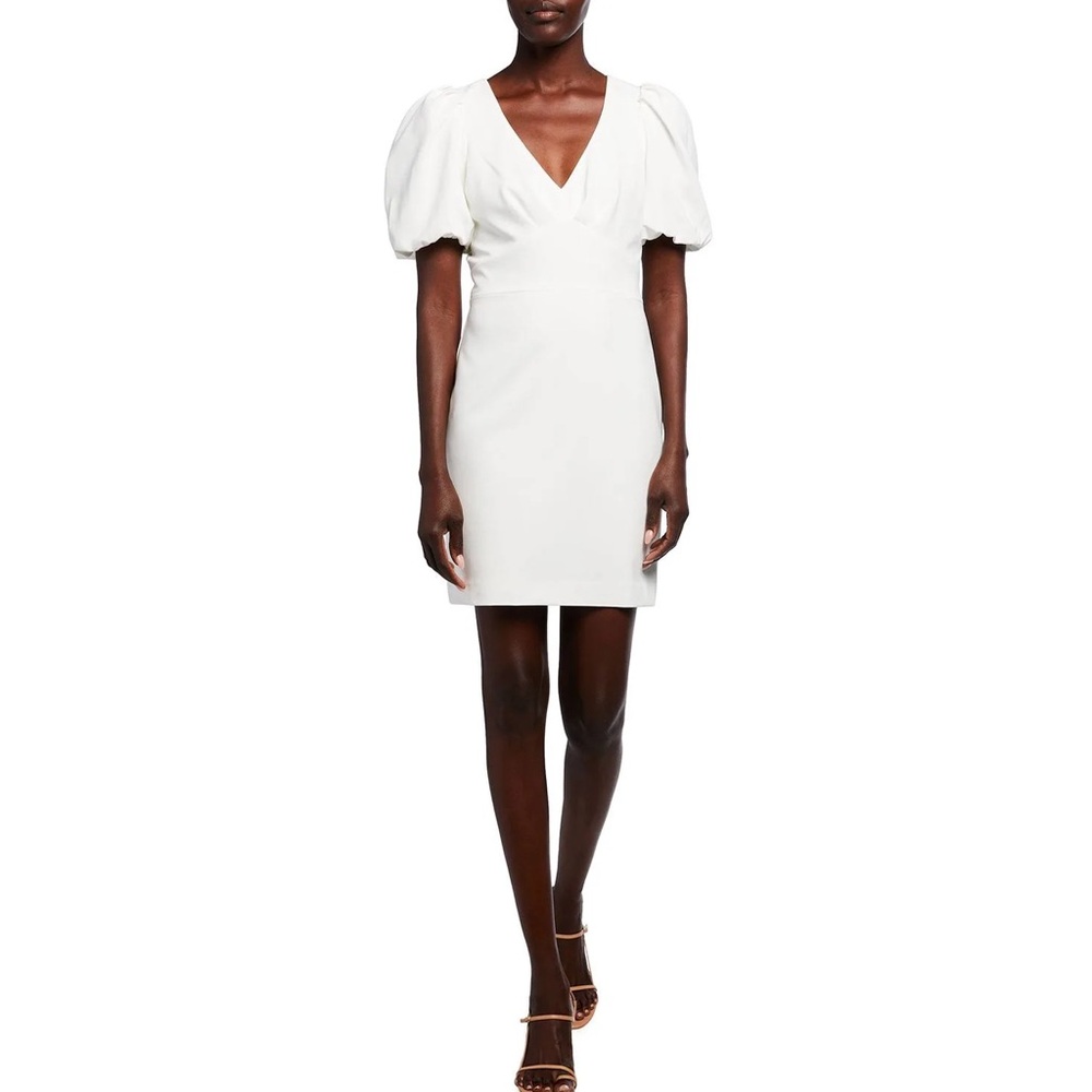 Parker puff sleeve dress NWT